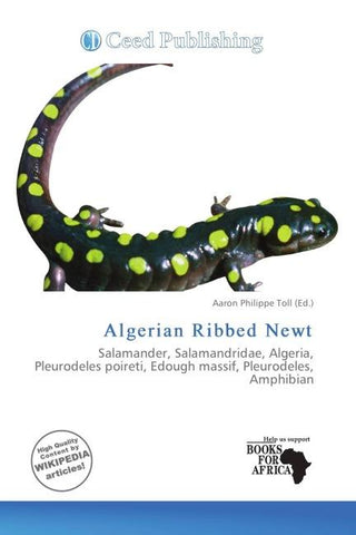 Algerian Ribbed Newt