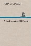 A Leaf from the Old Forest
