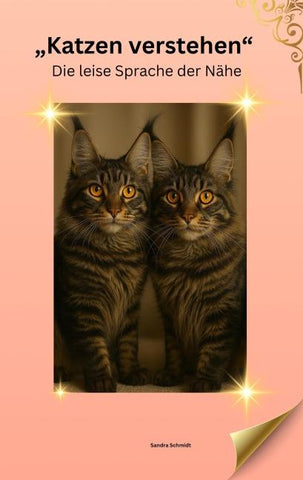 Katzen verstehen