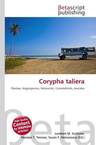 Corypha taliera