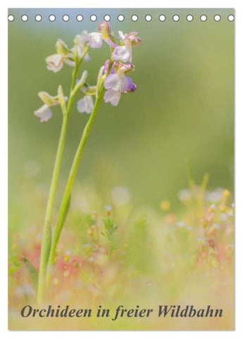 Orchideen in freier Wildbahn (Tischkalender 2026 DIN A5 hoch), CALVENDO Monatskalender