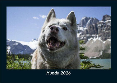Hunde 2026 Fotokalender DIN A5