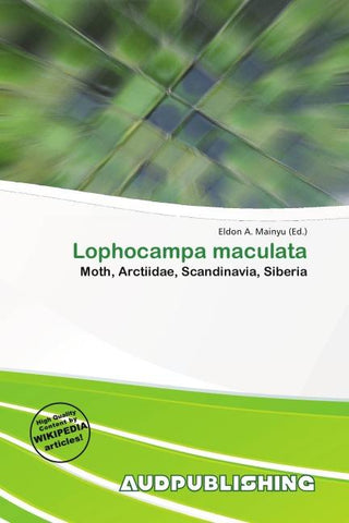 Lophocampa maculata