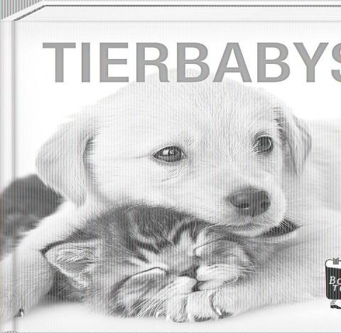 Tierbabys – Book To Go