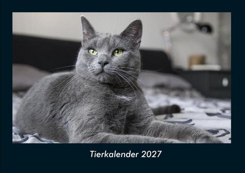 Tierkalender 2027 Fotokalender DIN A4