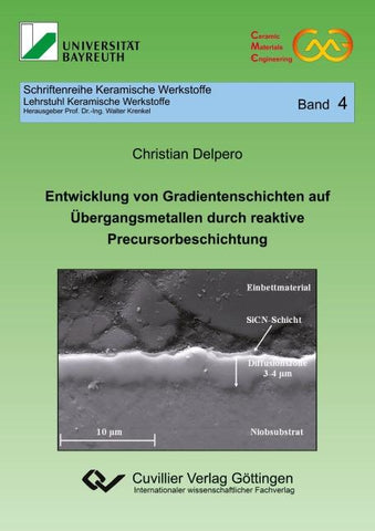 Entwicklung von Gradientenschichten auf Übergangsmetallen durch reaktive Precursorbeschichtung (Band 4)