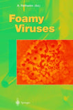 Foamy Viruses