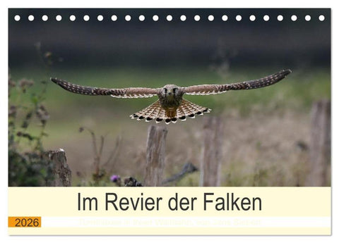 Im Revier der Falken (Tischkalender 2026 DIN A5 quer), CALVENDO Monatskalender