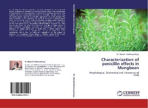 Characterization of penicillin effects in Mungbean