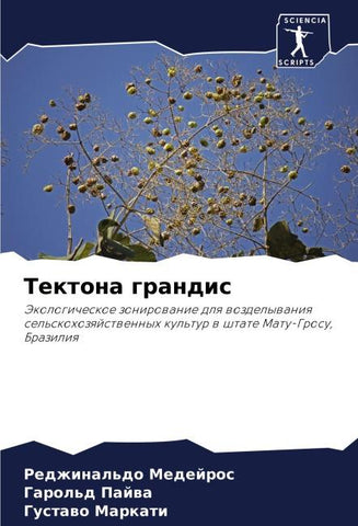 Tektona grandis
