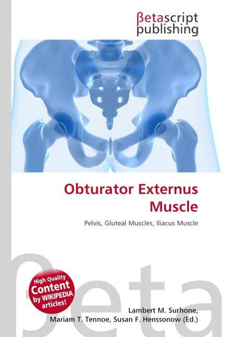 Obturator Externus Muscle