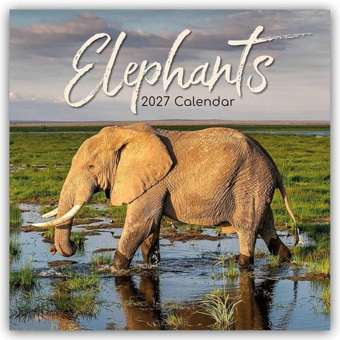Elephants – Elefanten 2027 – 16-Monatskalender