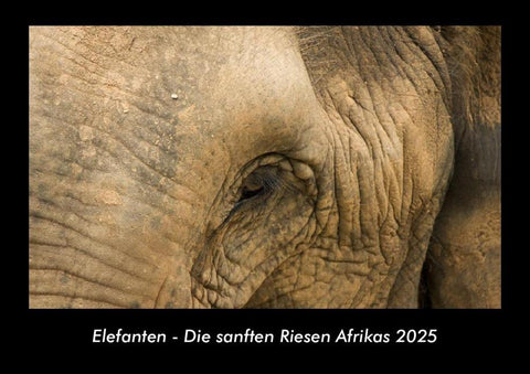 Elefanten - Die sanften Riesen Afrikas 2025 Fotokalender DIN A3