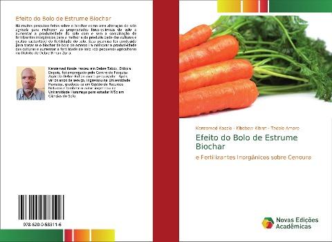 Efeito do Bolo de Estrume Biochar
