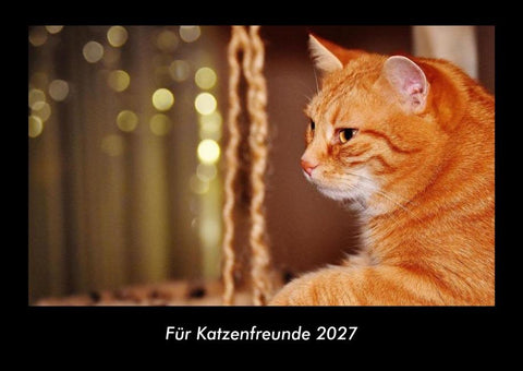 Für Katzenfreunde 2027 Fotokalender DIN A3