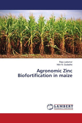 Agronomic Zinc Biofortification in maize