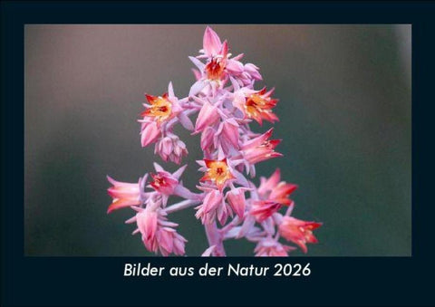 Bilder aus der Natur 2026 Fotokalender DIN A5