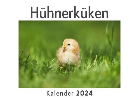 Hühnerküken (Wandkalender 2024, Kalender DIN A4 quer, Monatskalender im Querformat mit Kalendarium, Das perfekte Geschenk)