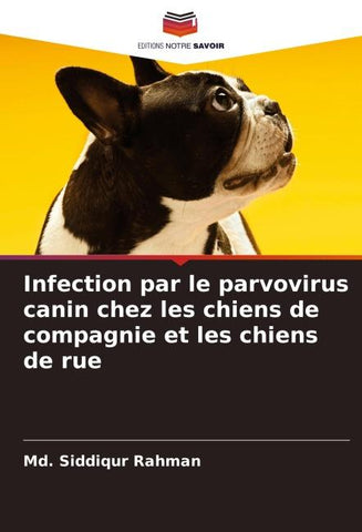 Infection par le parvovirus canin chez les chiens de compagnie et les chiens de rue