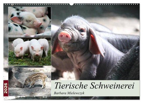 Tierische Schweinerei (Wandkalender 2026 DIN A2 quer), CALVENDO Monatskalender