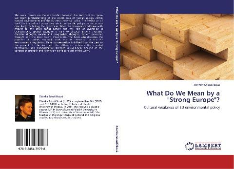 What Do We Mean by a "Strong Europe"?