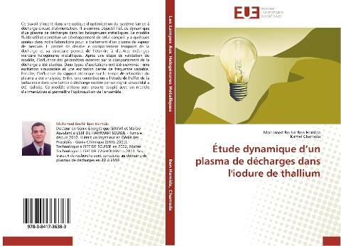 Étude dynamique d'un plasma de décharges dans l'iodure de thallium