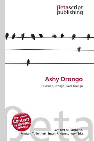 Ashy Drongo