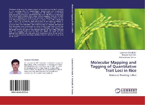 Molecular Mapping and Tagging of Quantitative Trait Loci in Rice