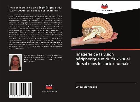 Imagerie de la vision périphérique et du flux visuel dorsal dans le cortex humain