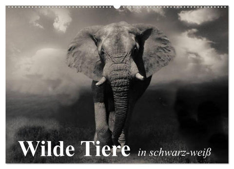 Wilde Tiere in schwarz-weiß (Wandkalender 2026 DIN A2 quer), CALVENDO Monatskalender