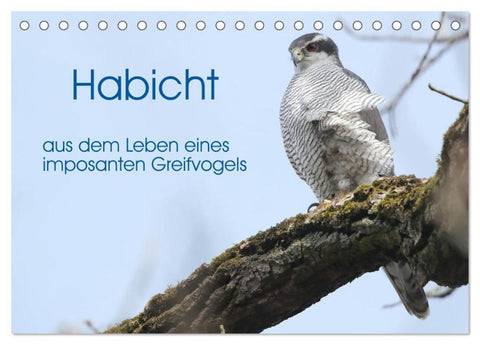 Habicht - aus dem Leben eines imposanten Greifvogels (Tischkalender 2026 DIN A5 quer), CALVENDO Monatskalender