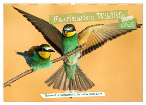 Faszination Wildlife (Wandkalender 2026 DIN A2 quer), CALVENDO Monatskalender