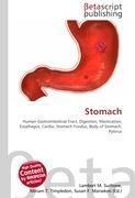 Stomach