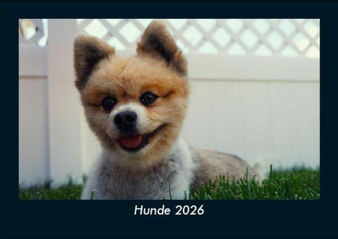 Hunde 2026 Fotokalender DIN A5