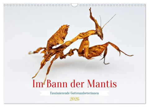 Im Bann der Mantis (Wandkalender 2026 DIN A3 quer), CALVENDO Monatskalender