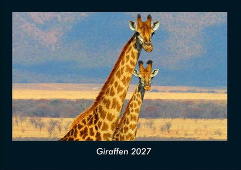 Giraffen 2027 Fotokalender DIN A4