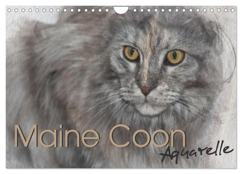 Maine Coon Aquarelle (Wandkalender 2026 DIN A4 quer), CALVENDO Monatskalender
