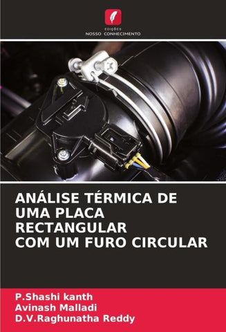 ANÁLISE TÉRMICA DE UMA PLACA RECTANGULAR COM UM FURO CIRCULAR