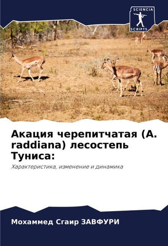 Akaciq cherepitchataq (A. raddiana) lesostep' Tunisa: