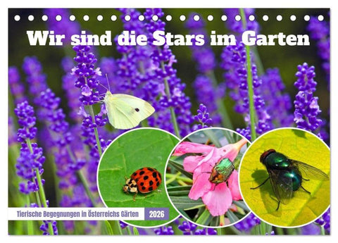 Wir sind die Stars im Garten (Tischkalender 2026 DIN A5 quer), CALVENDO Monatskalender