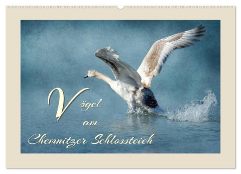 Vögel am Chemnitzer Schlossteich (Wandkalender 2026 DIN A2 quer), CALVENDO Monatskalender