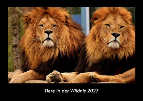 Tiere in der Wildnis 2027 Fotokalender DIN A3