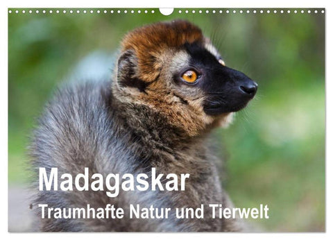 Madagaskar. Traumhafte Natur und Tierwelt (Wandkalender 2026 DIN A3 quer), CALVENDO Monatskalender