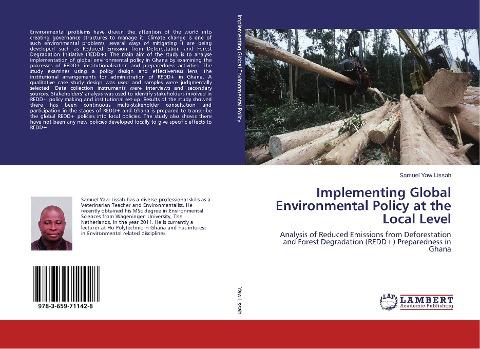 Implementing Global Environmental Policy at the Local Level