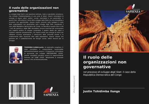 Il ruolo delle organizzazioni non governative