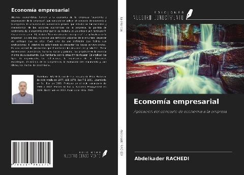 Economía empresarial