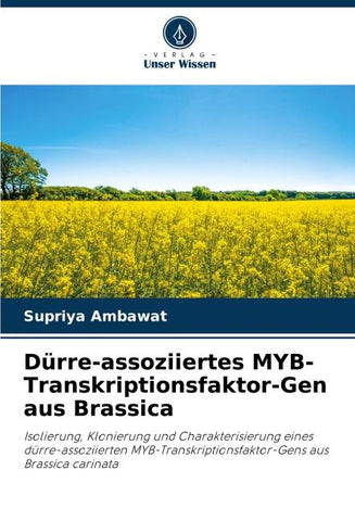 Dürre-assoziiertes MYB-Transkriptionsfaktor-Gen aus Brassica