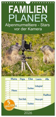 Familienplaner 2026 - Alpenmurmeltiere - Stars vor der Kamera mit 5 Spalten (Wandkalender, 21 x 45 cm) CALVENDO