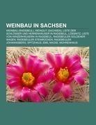 Weinbau in Sachsen