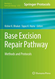 Base Excision Repair Pathway
